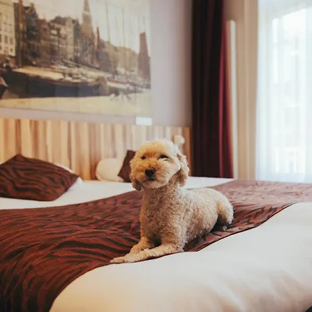 Boutique Hotel Asterisk, A Family Run Hotel-3